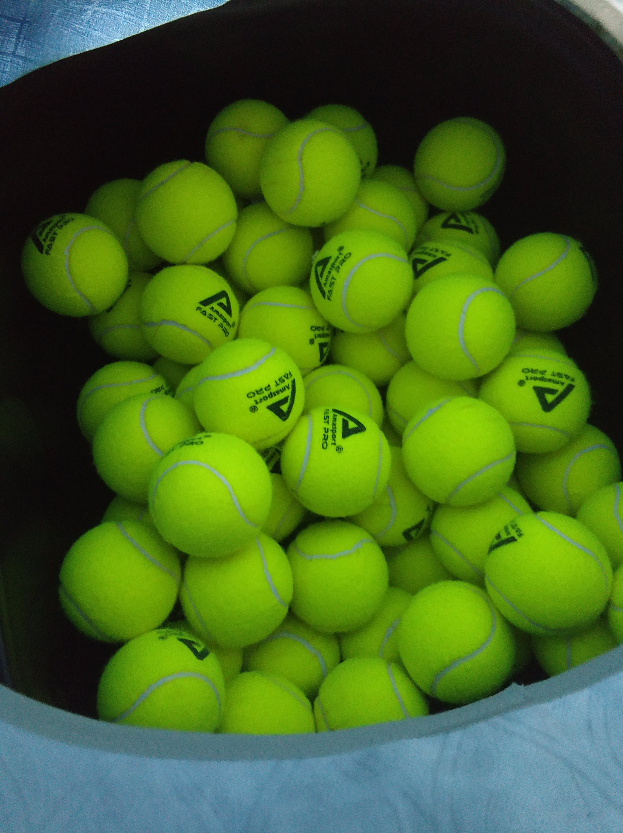 假设一支年 假设一支年